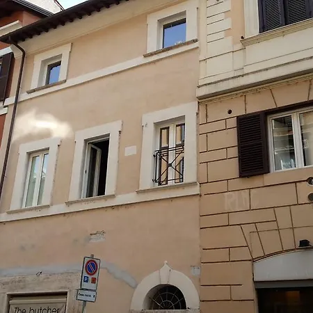 Ripa 17